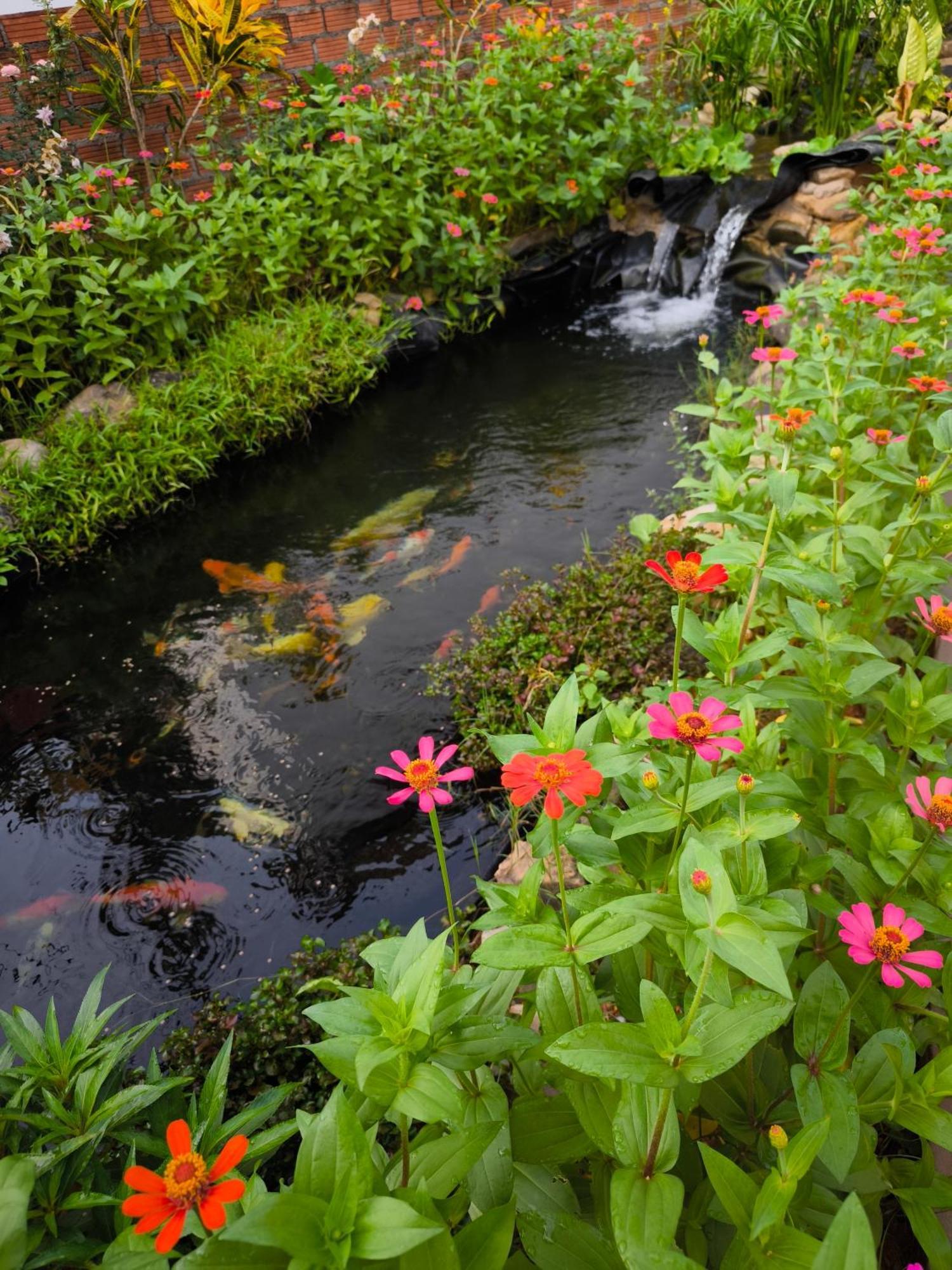 Dok Champa Resort Vang Vieng Eksteriør billede